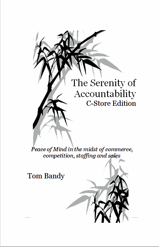 3 Important Pillars in Teamwork:   An Excerpt from The Serenity of Accountability