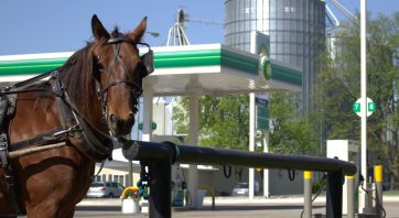 Image of horse at the hitching post at JJ3 in Berne, Indianna