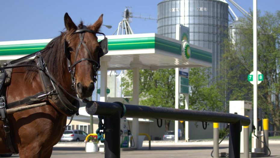 Image of horse at the hitching post at JJ3 in Berne, Indianna